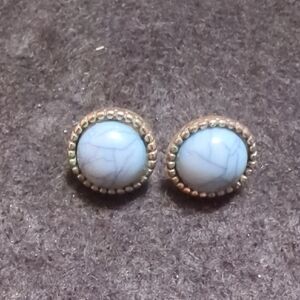 Elegant Blue Turquoise Stud Earrings